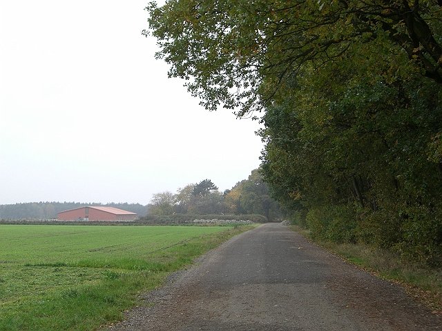 CTF Celle Strecke 101